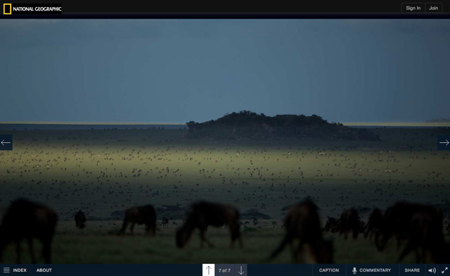 serengeti